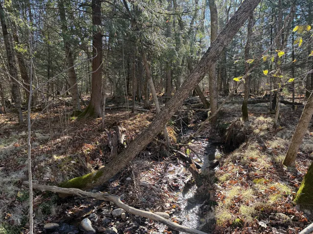 $325,000 | 51571 County Road 156, Squaw Lake, MN 56681