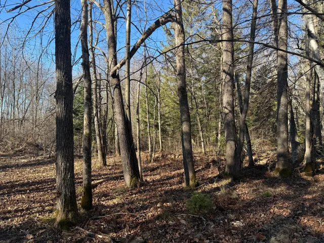 $325,000 | 51571 County Road 156, Squaw Lake, MN 56681