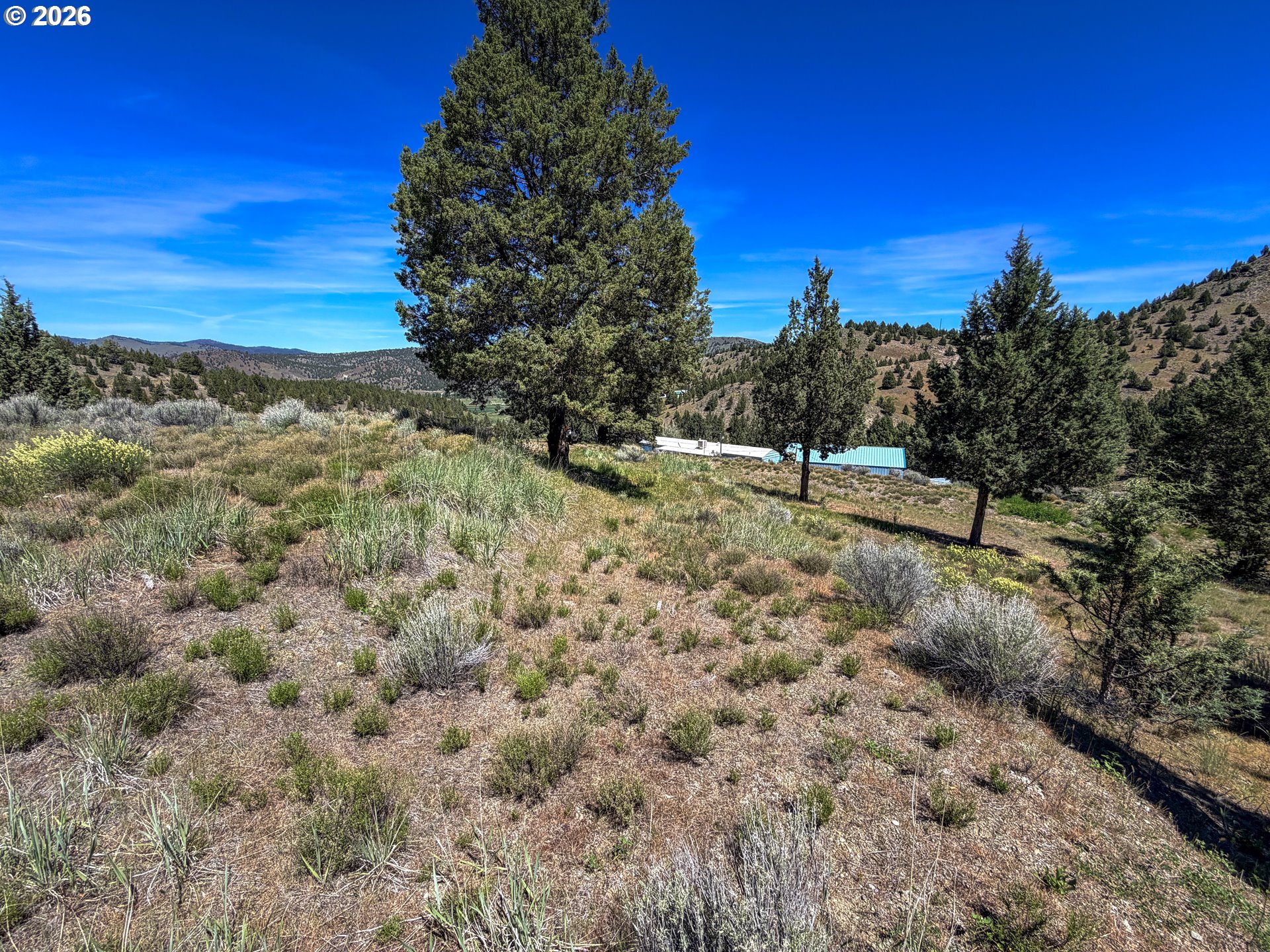 Luce Creek Road John Day, OR 97845 - Photo 3 of 18