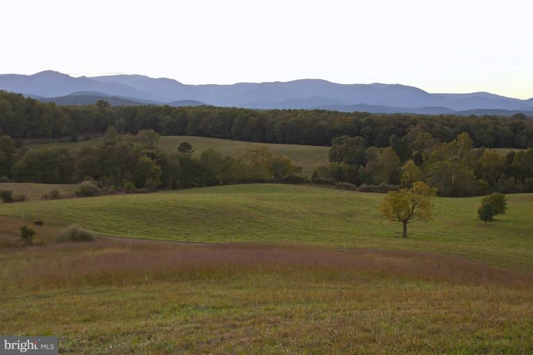 16439 Reva Road Culpeper, VA 22701 - Photo 4 of 5 View from potential homesite