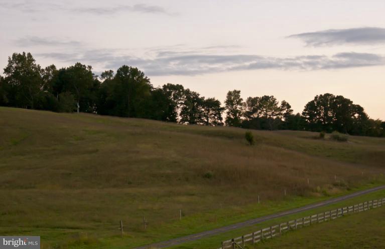 16439 Reva Road Culpeper, VA 22701 - Photo 5 of 5 Looking east