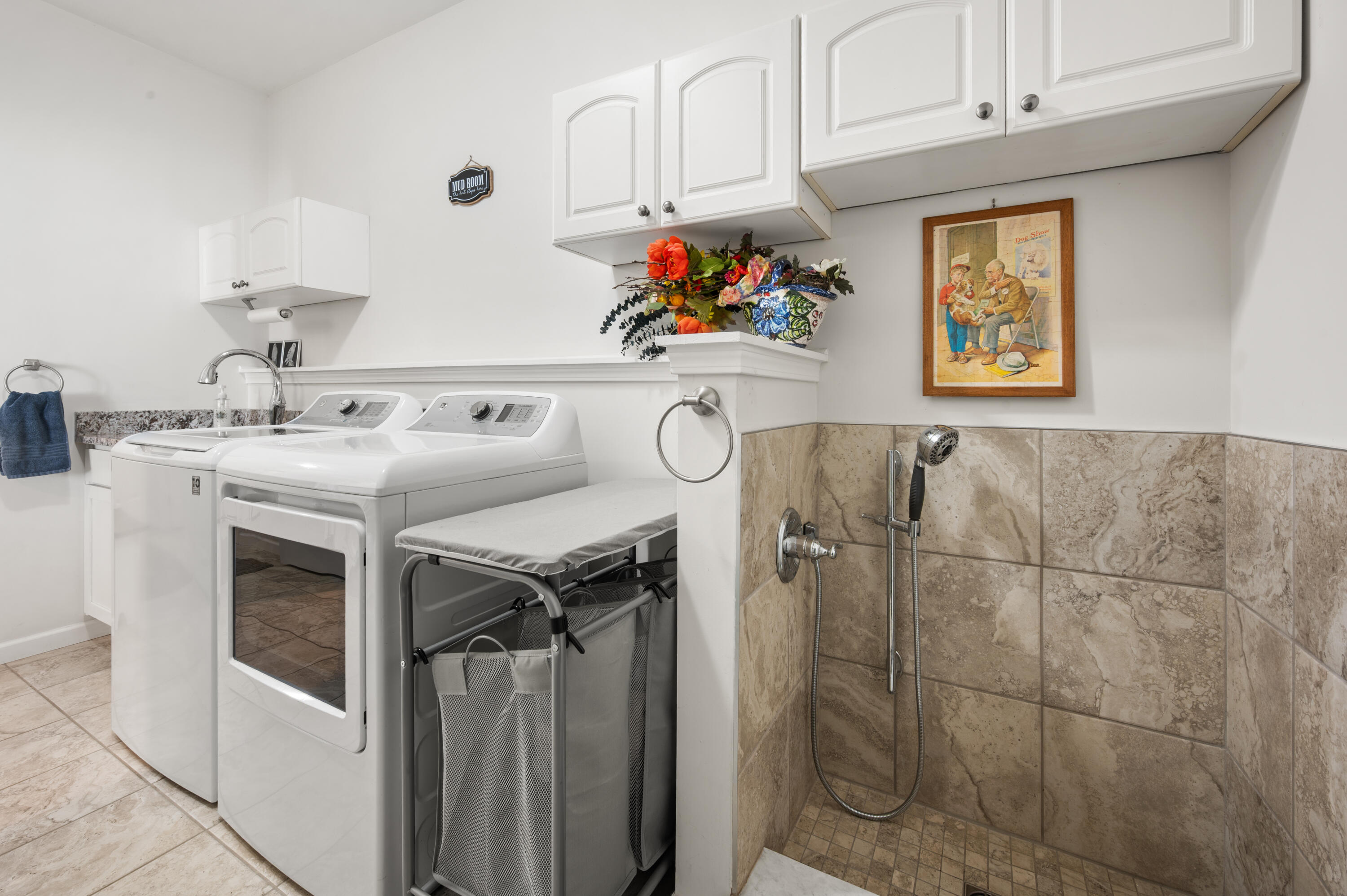 5785 Layton Road Fowlerville, MI 48836 - Photo 25 of 69 Laundry/Dog wash