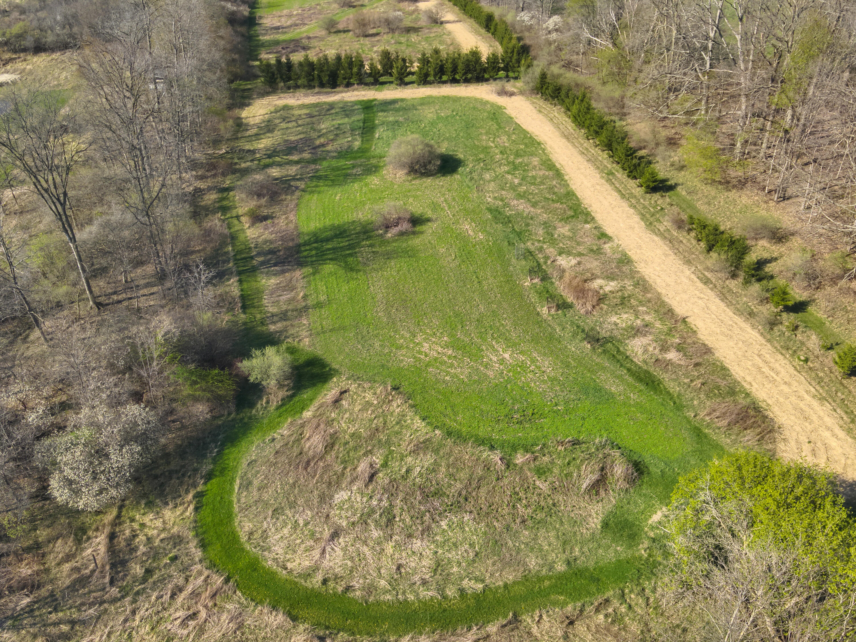 5785 Layton Road Fowlerville, MI 48836 - Photo 44 of 69 DJI_20260423055058_0015_V