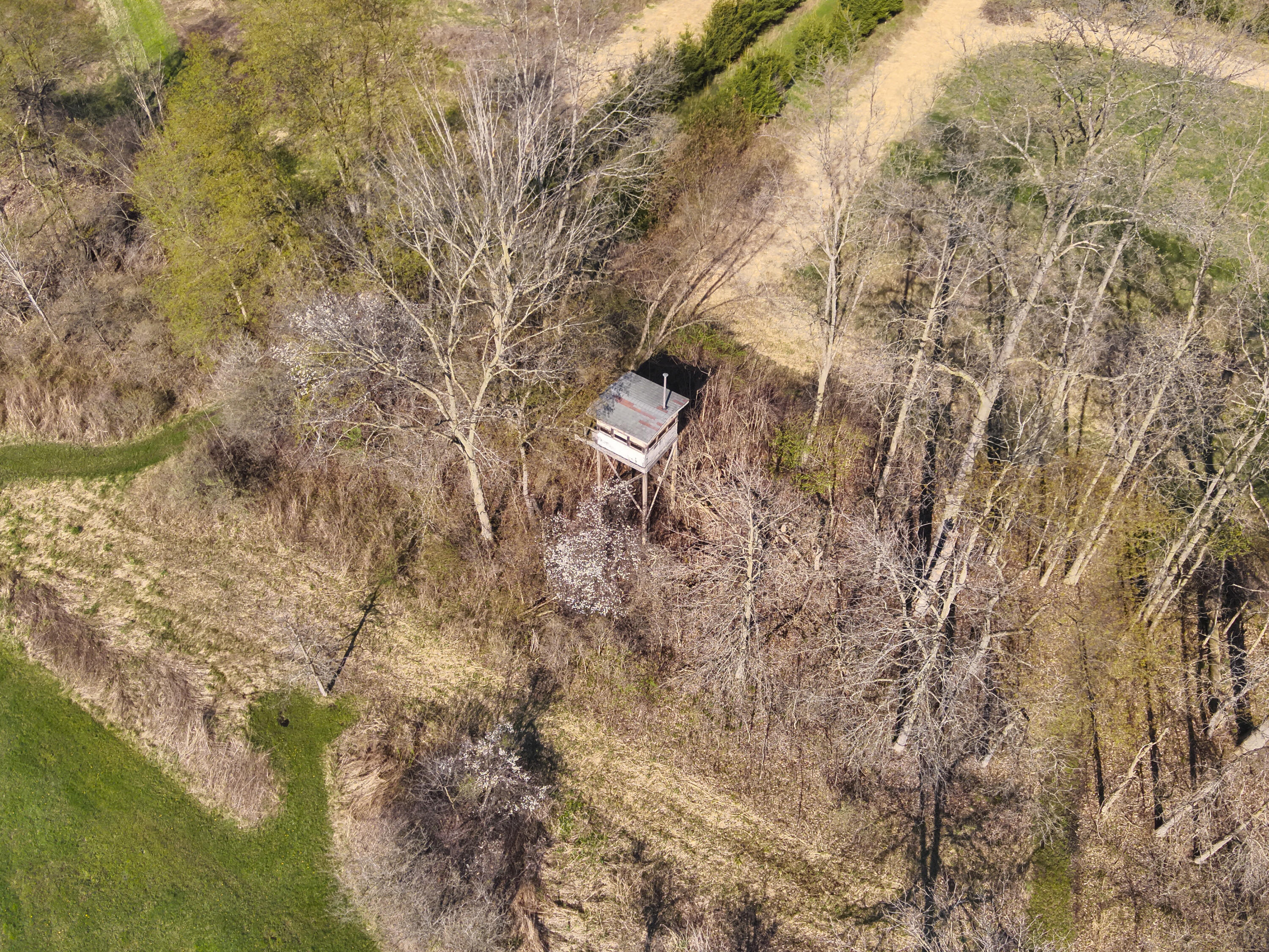 5785 Layton Road Fowlerville, MI 48836 - Photo 46 of 69 DJI_20260423055136_0017_V