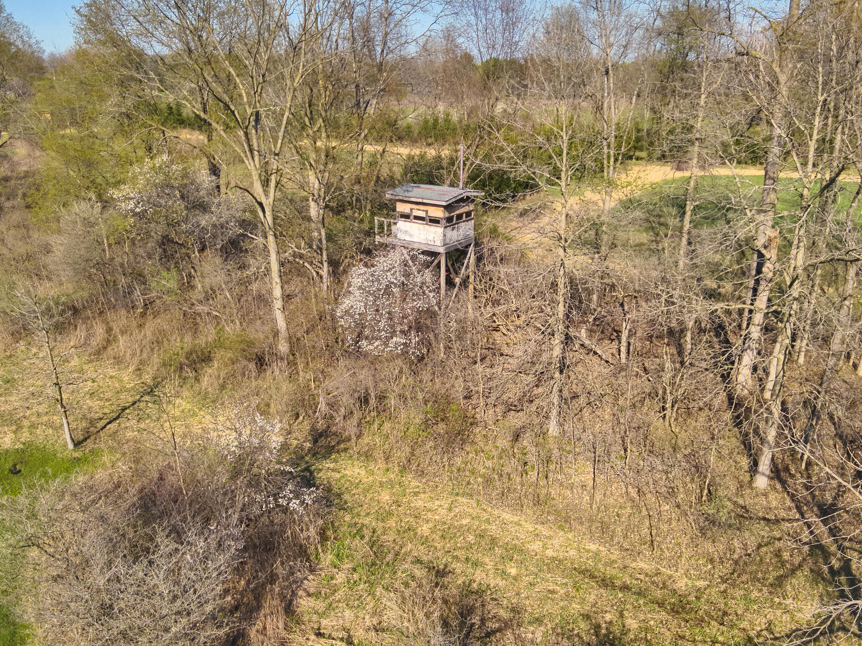 5785 Layton Road Fowlerville, MI 48836 - Photo 47 of 69 DJI_20260423055154_0018_V