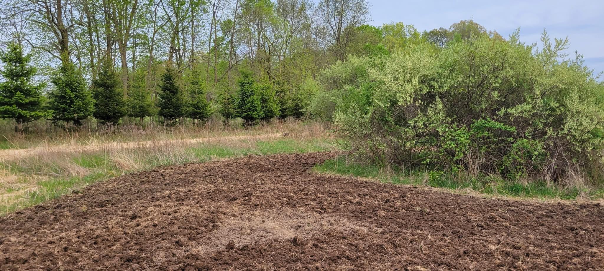 5785 Layton Road Fowlerville, MI 48836 - Photo 63 of 69 IMG_3658