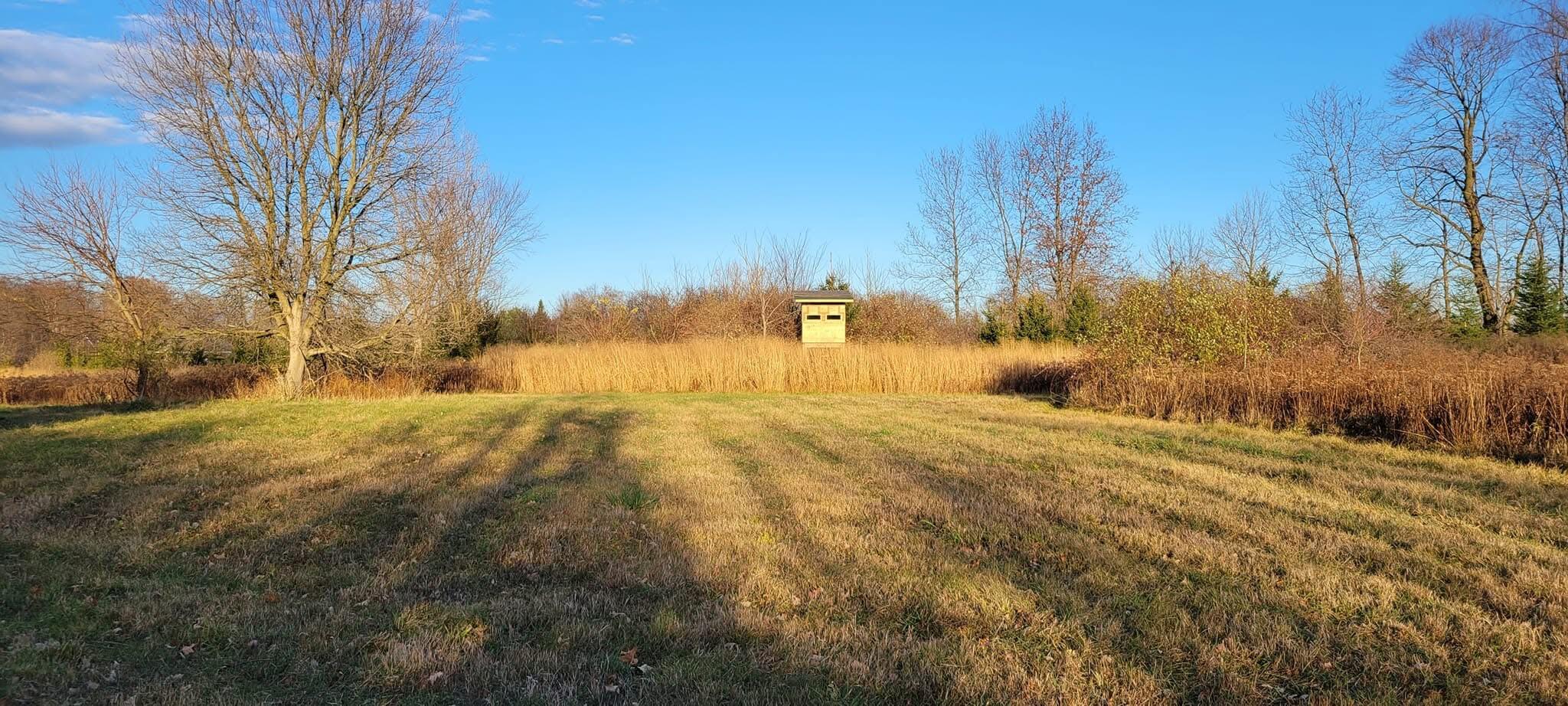 5785 Layton Road Fowlerville, MI 48836 - Photo 68 of 69 IMG_3667