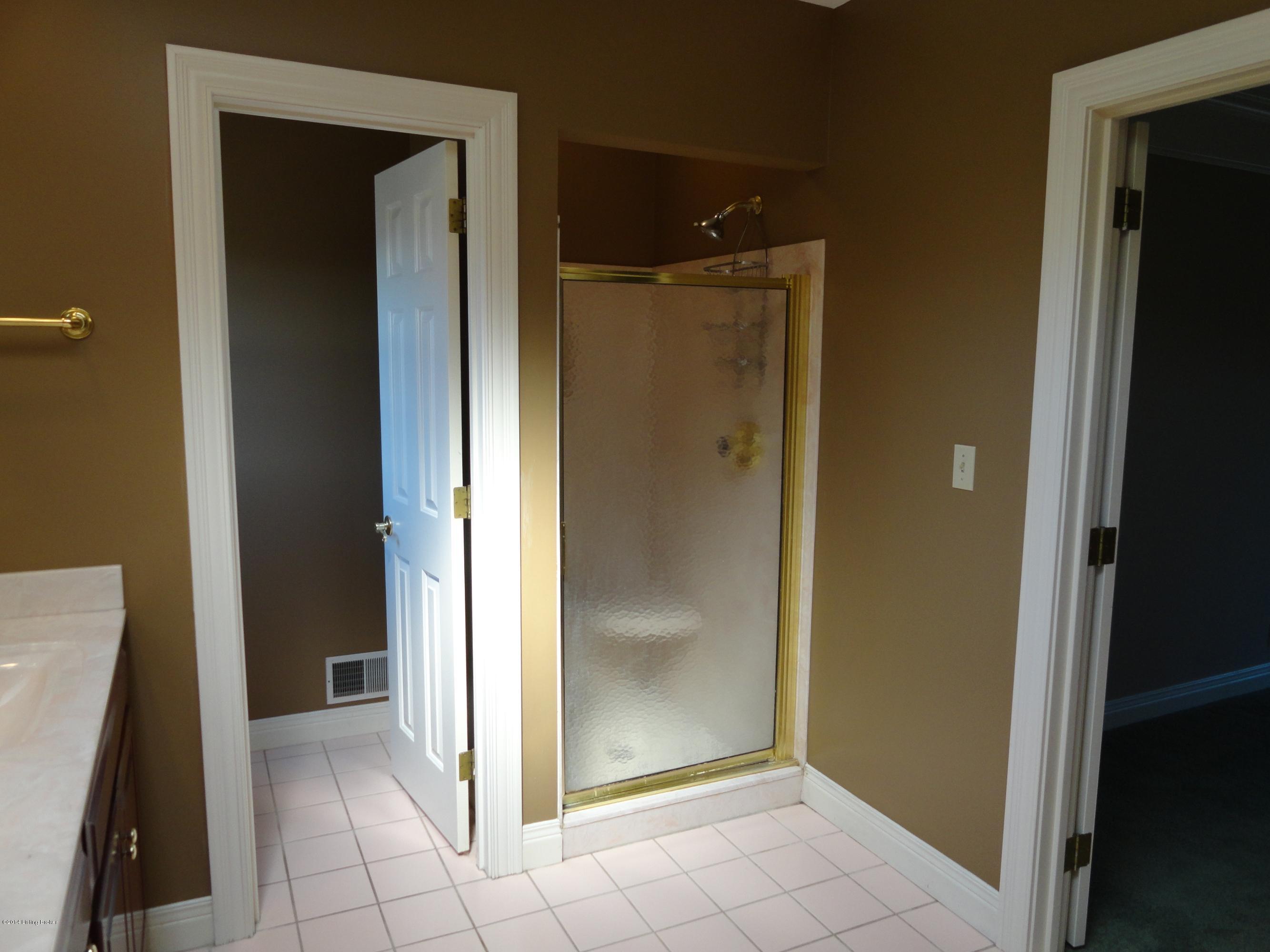 3209 Trail Ridge Road Louisville, KY 40241 - Photo 19 of 47 SHOWER IN MASTER BATH