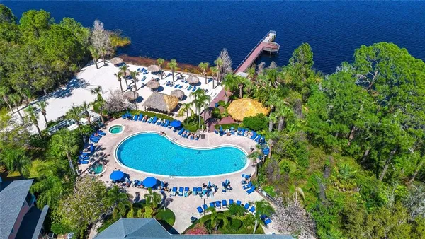 a view of a swimming pool with a yard