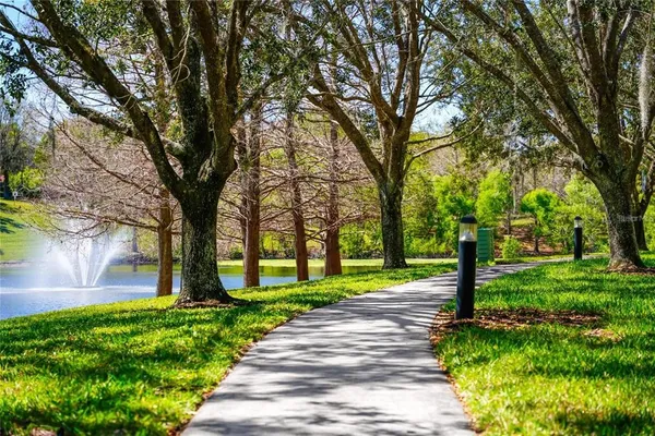 a park with large trees and a pathway