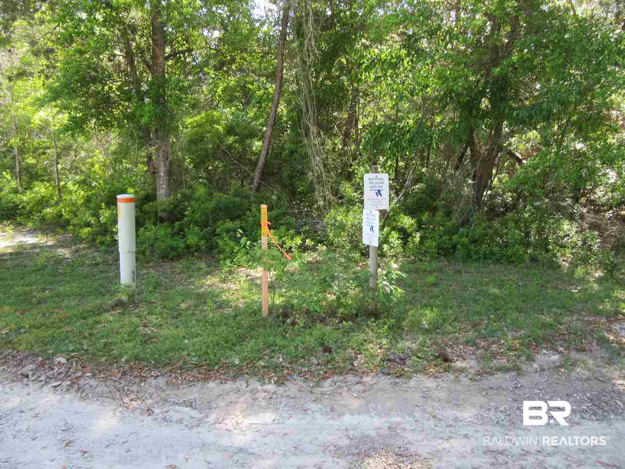 Strong Road Gulf Shores, AL 36542 - Photo 21 of 21