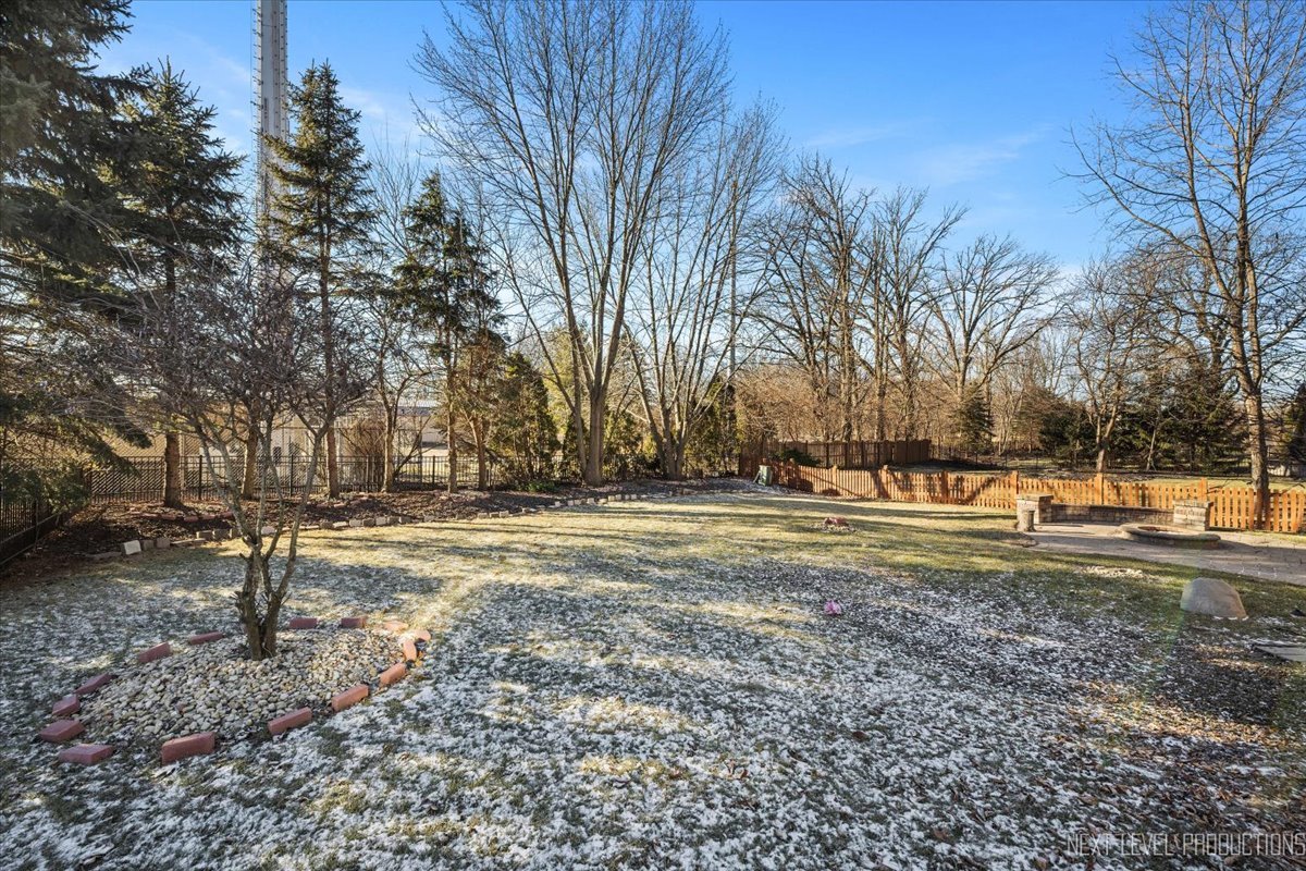 2197 Red Maple Lane Aurora, IL 60502 - Photo 47 of 48 a view of yard with green space