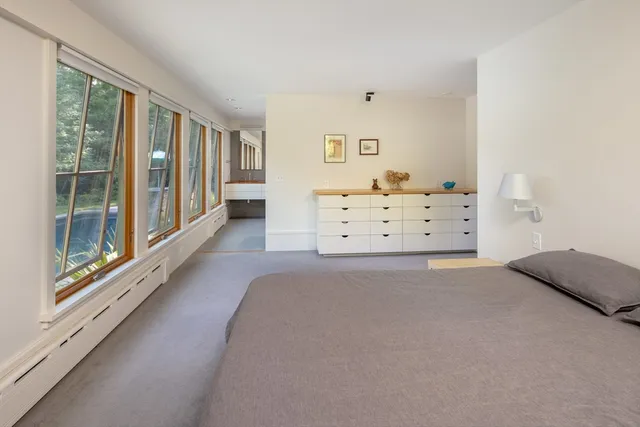 a view of a bedroom with furniture and windows