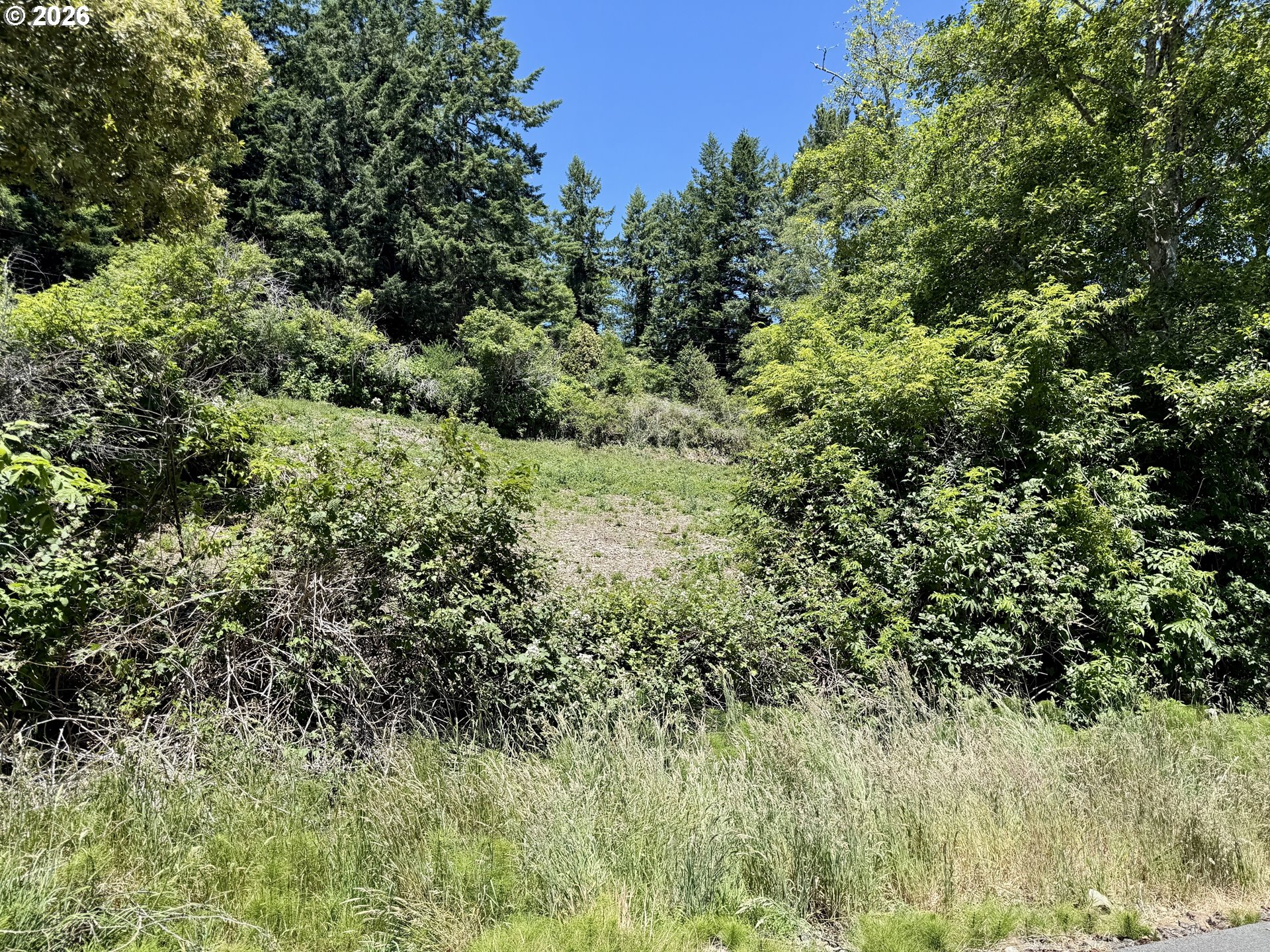 0 Thompson Road Brookings, OR 97415 - Photo 9 of 15 a view of a lush green forest