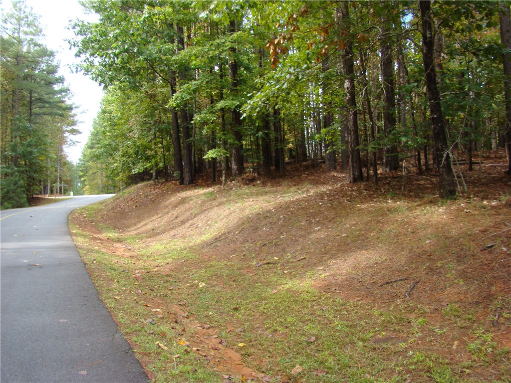652 Top Ridge Drive Sunset, SC 29685 - Photo 2 of 24