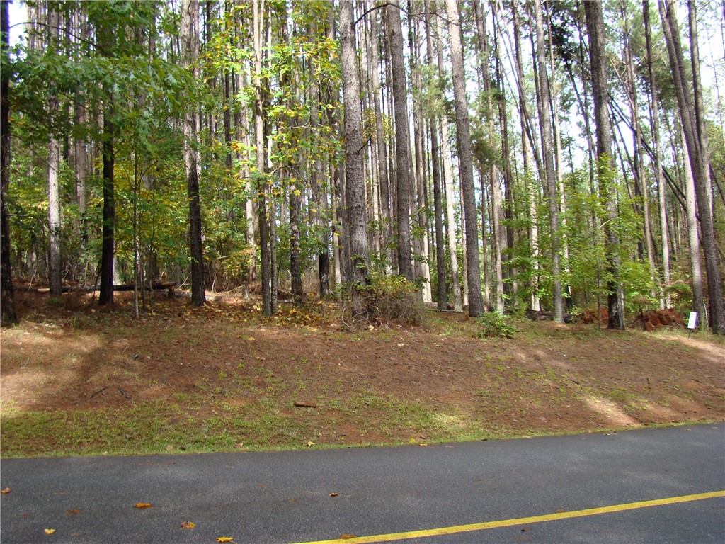 652 Top Ridge Drive Sunset, SC 29685 - Photo 3 of 24