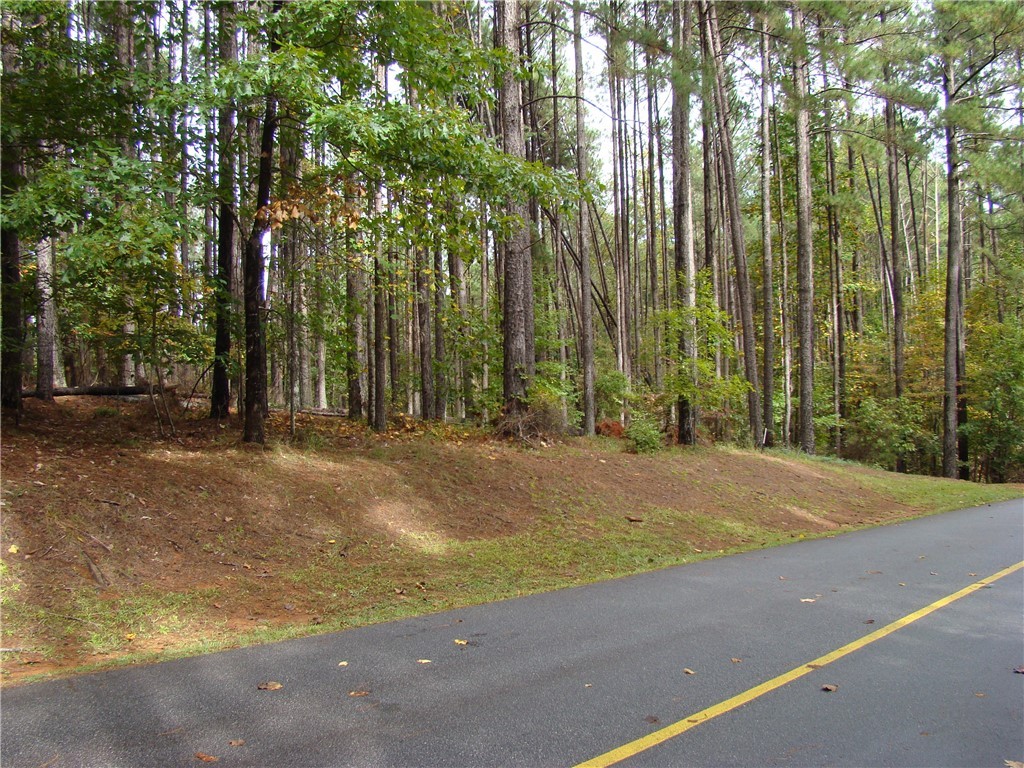 652 Top Ridge Drive Sunset, SC 29685 - Photo 4 of 24