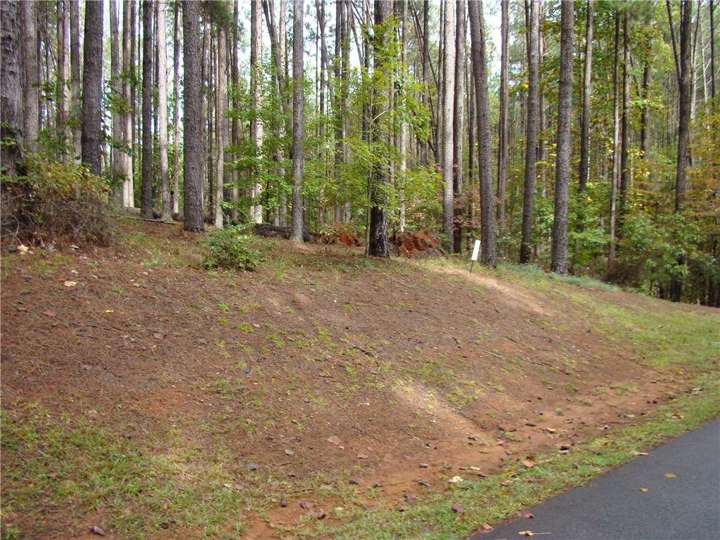652 Top Ridge Drive Sunset, SC 29685 - Photo 6 of 24