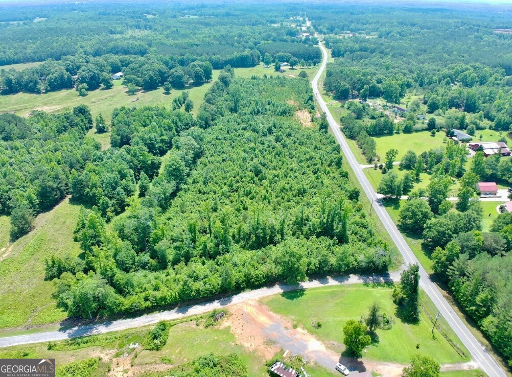 0 Prospect Road Nauvoo, AL 35578 - Photo 14 of 19