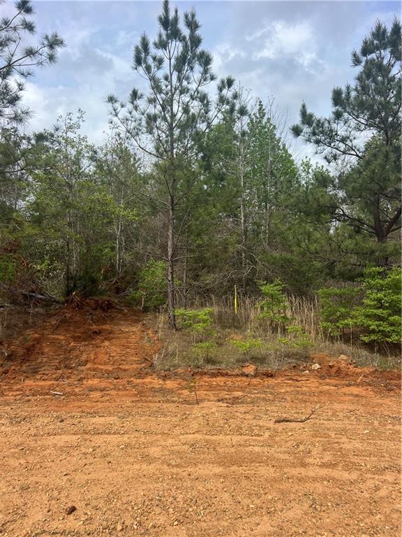 2 Scotts Path Bentley, LA 71407 - Photo 1 of 3 Gallery Image 1