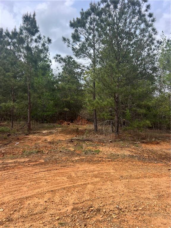 2 Scotts Path Bentley, LA 71407 - Photo 2 of 3 Gallery Image 2
