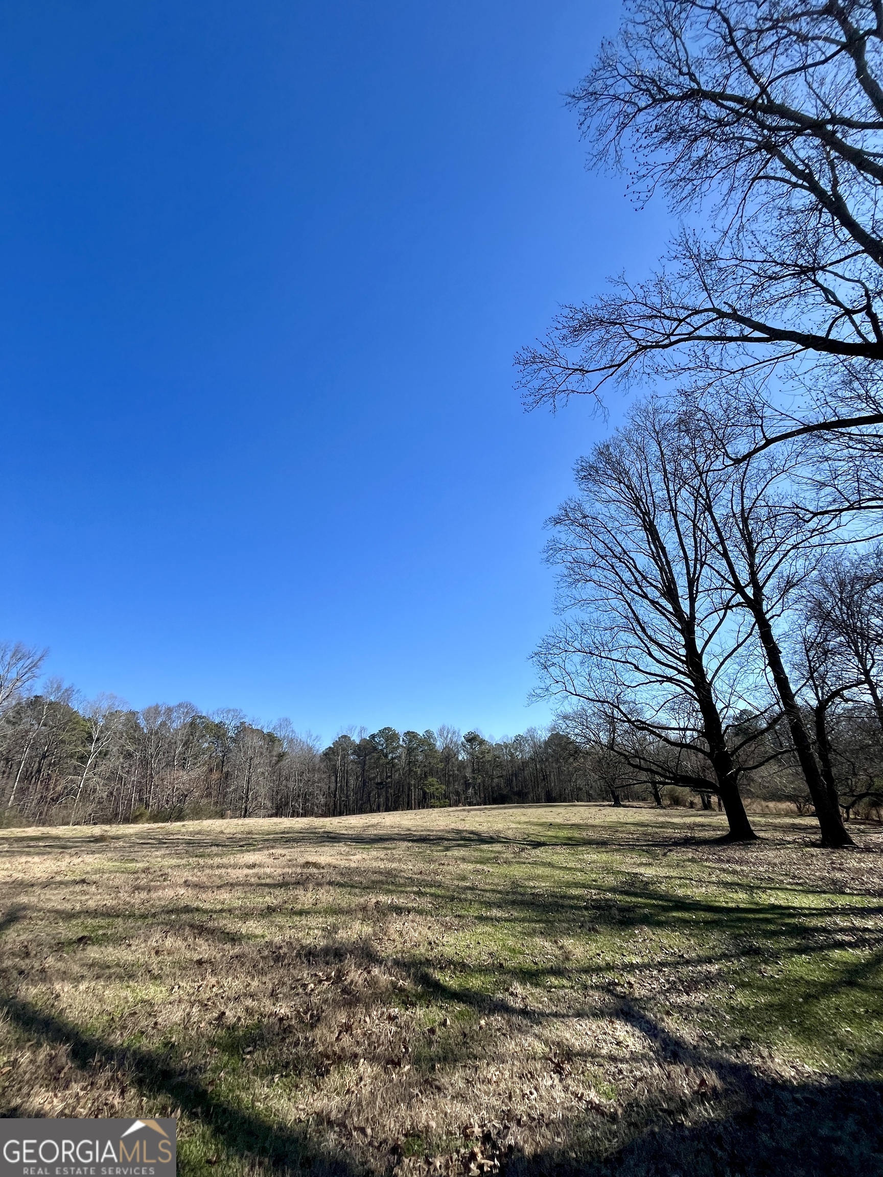 1000 Kansas Jake Road Waco, GA 30182 - Photo 11 of 45