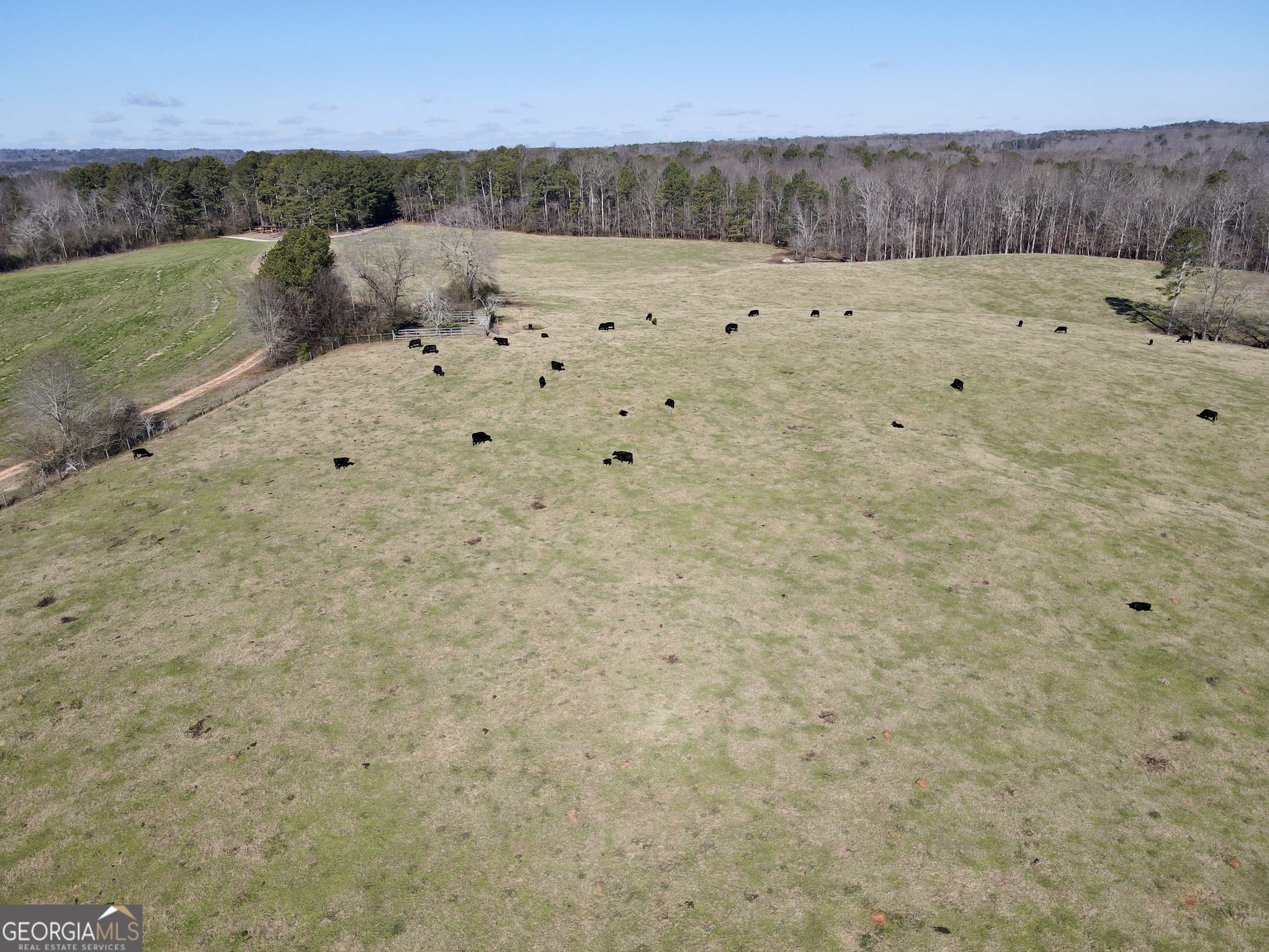 1000 Kansas Jake Road Waco, GA 30182 - Photo 2 of 45