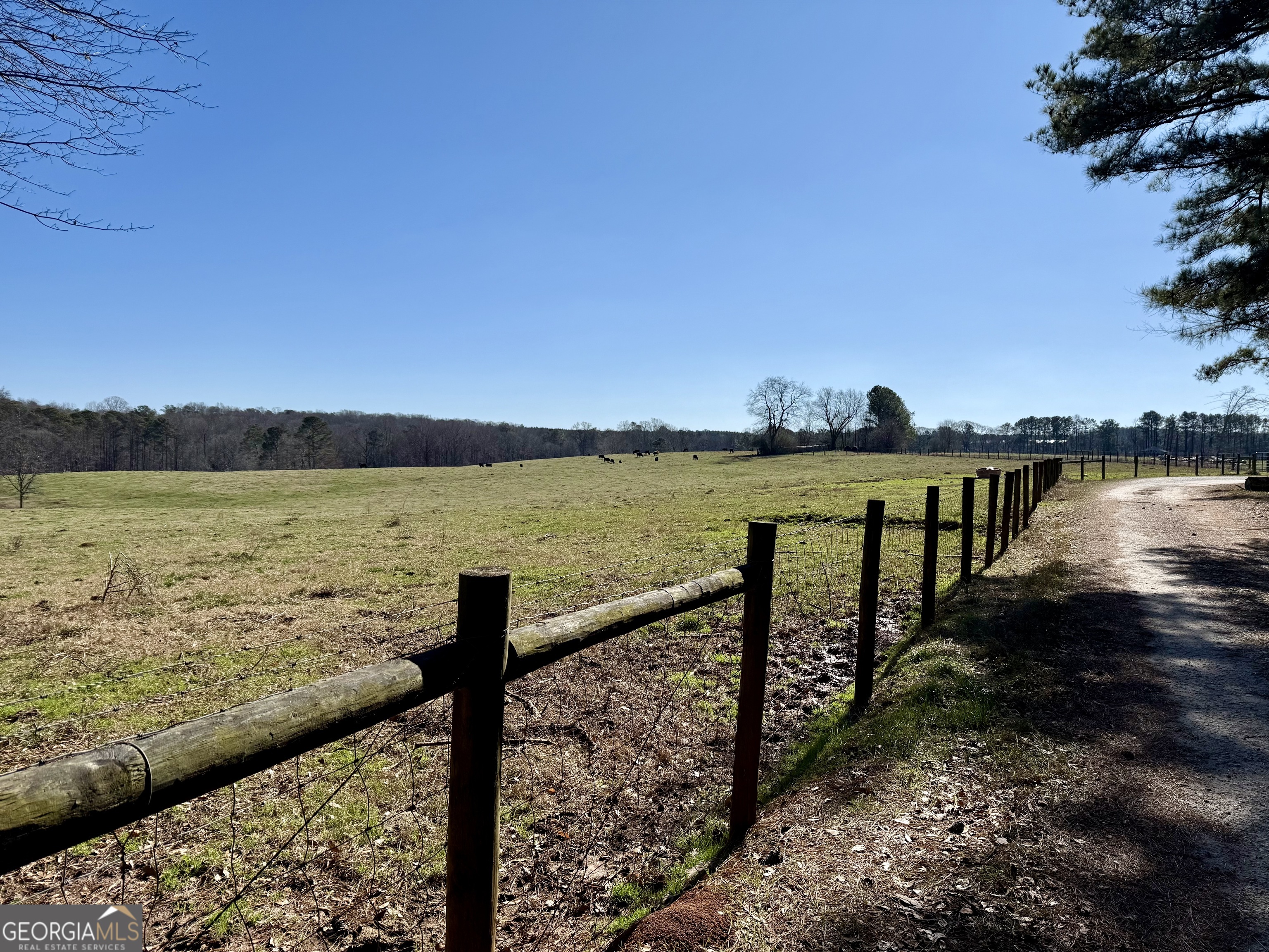 1000 Kansas Jake Road Waco, GA 30182 - Photo 25 of 45
