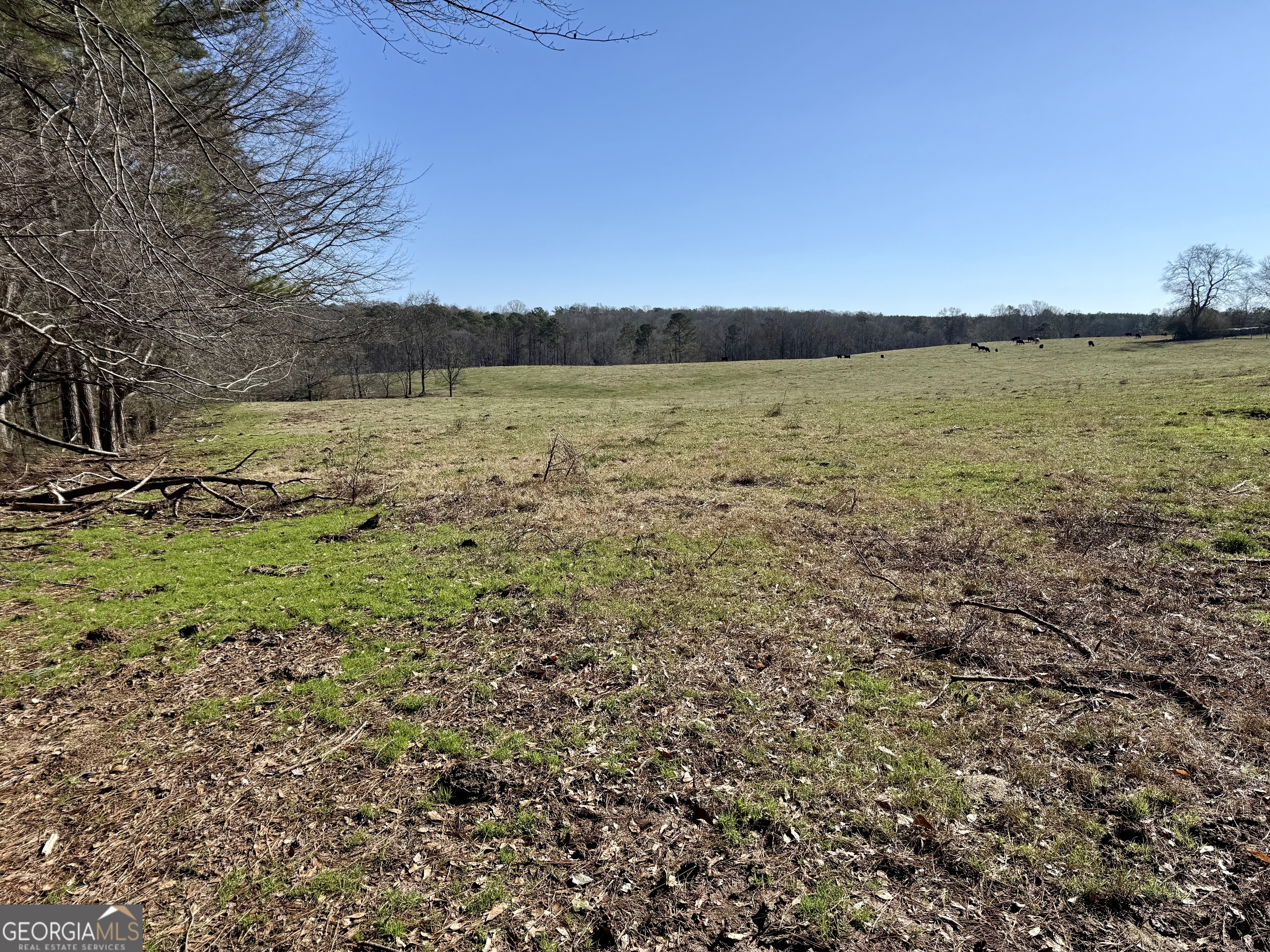 1000 Kansas Jake Road Waco, GA 30182 - Photo 26 of 45
