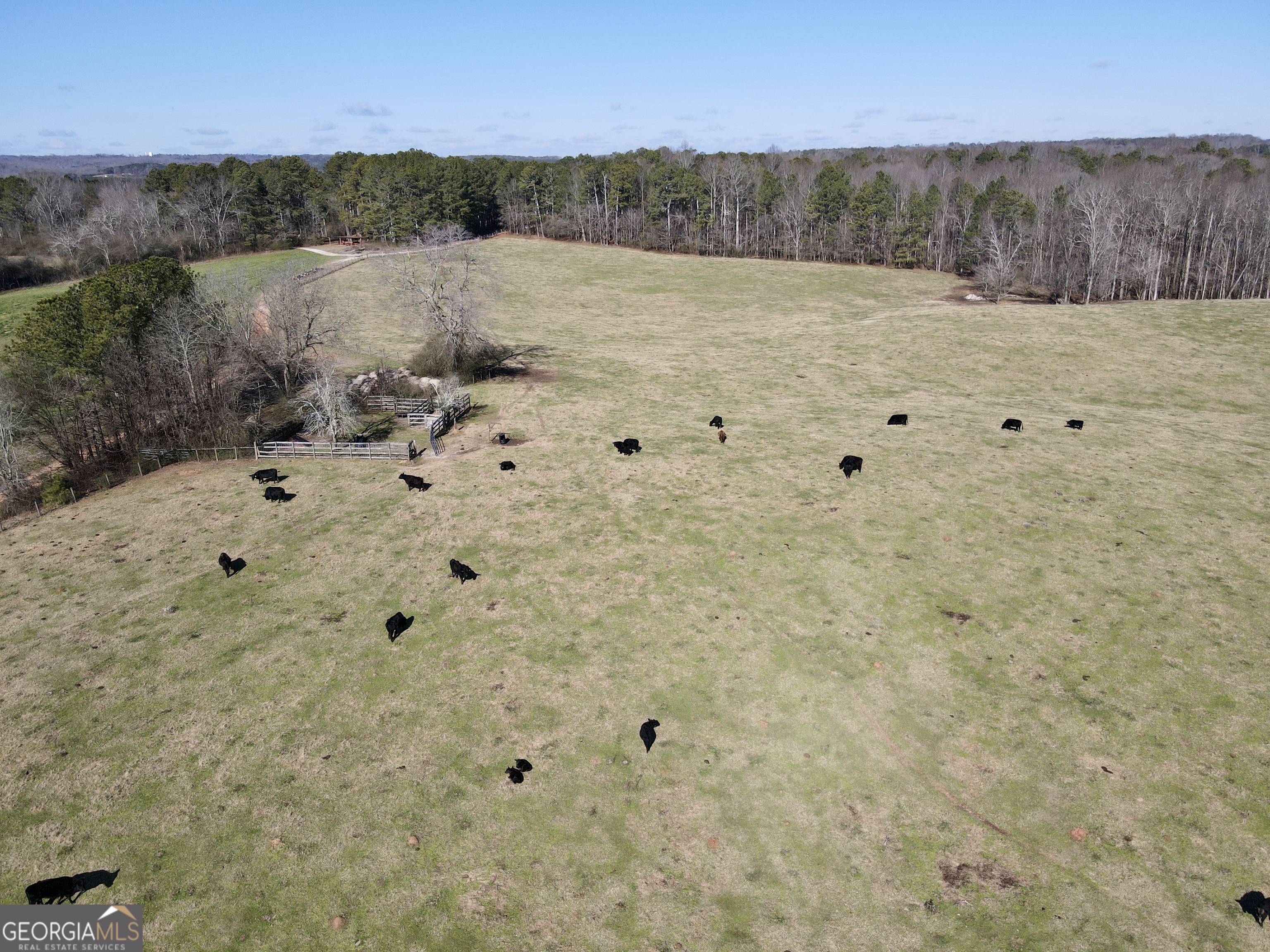 1000 Kansas Jake Road Waco, GA 30182 - Photo 3 of 45