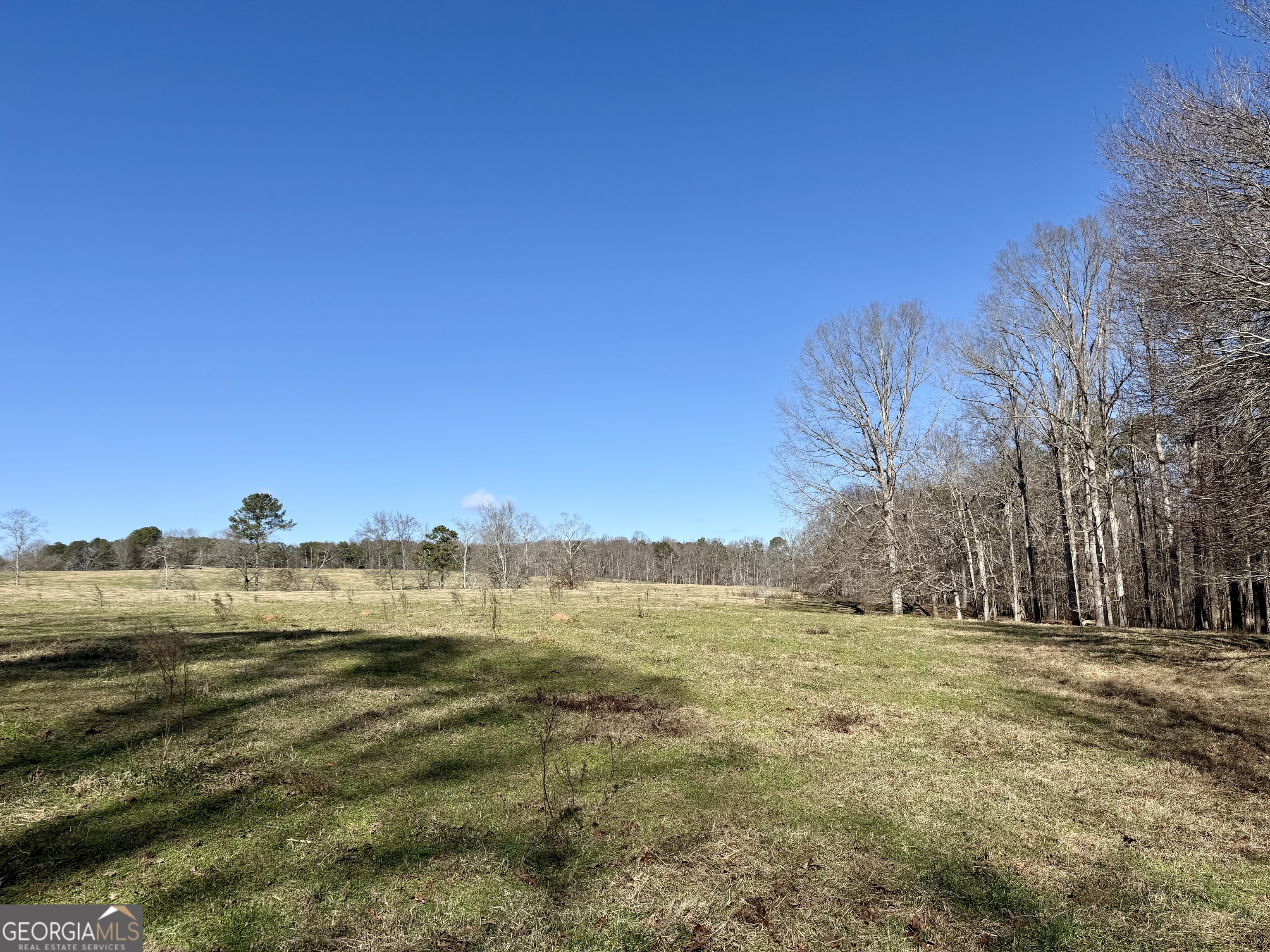 1000 Kansas Jake Road Waco, GA 30182 - Photo 31 of 45