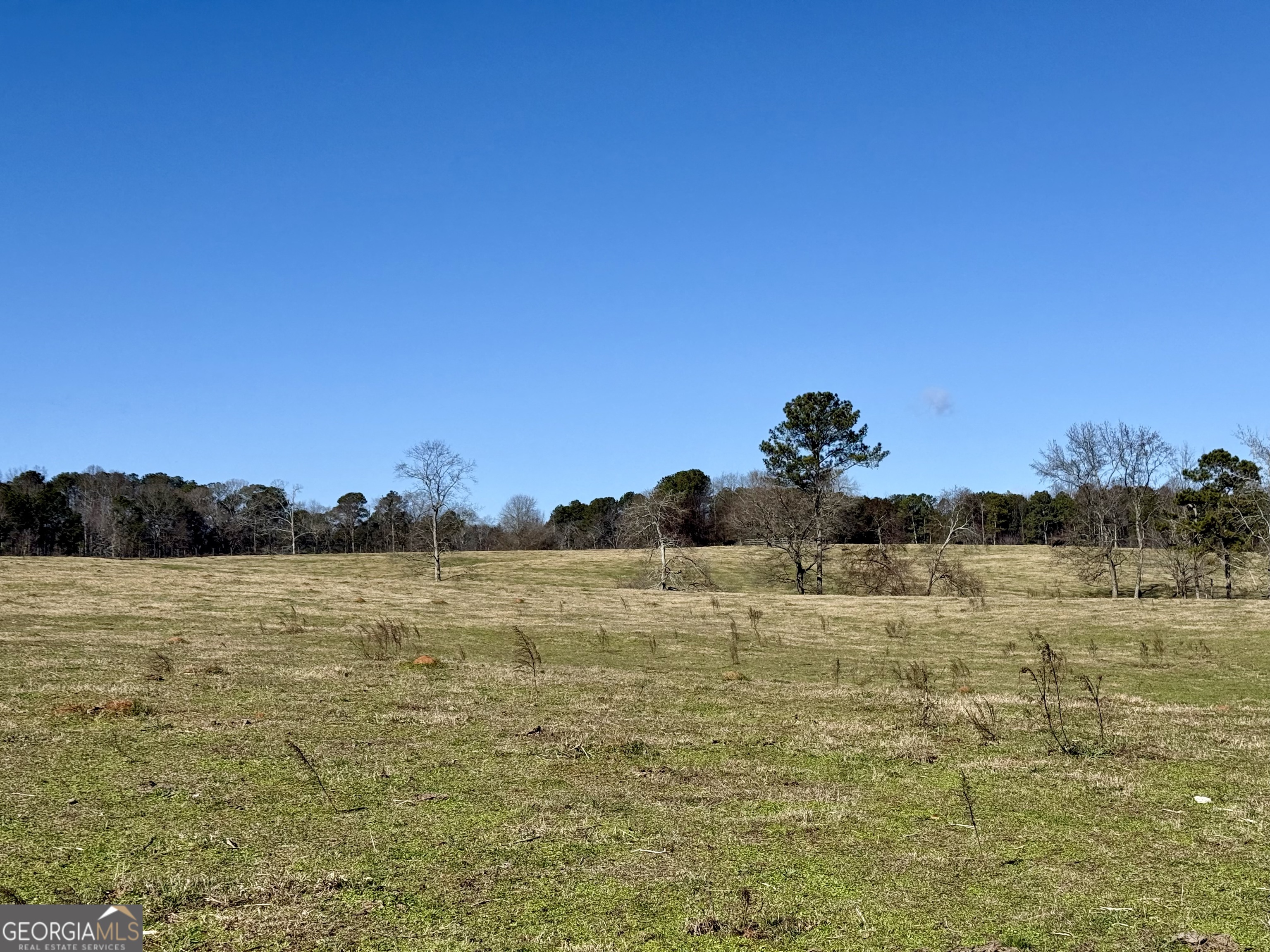 1000 Kansas Jake Road Waco, GA 30182 - Photo 33 of 45