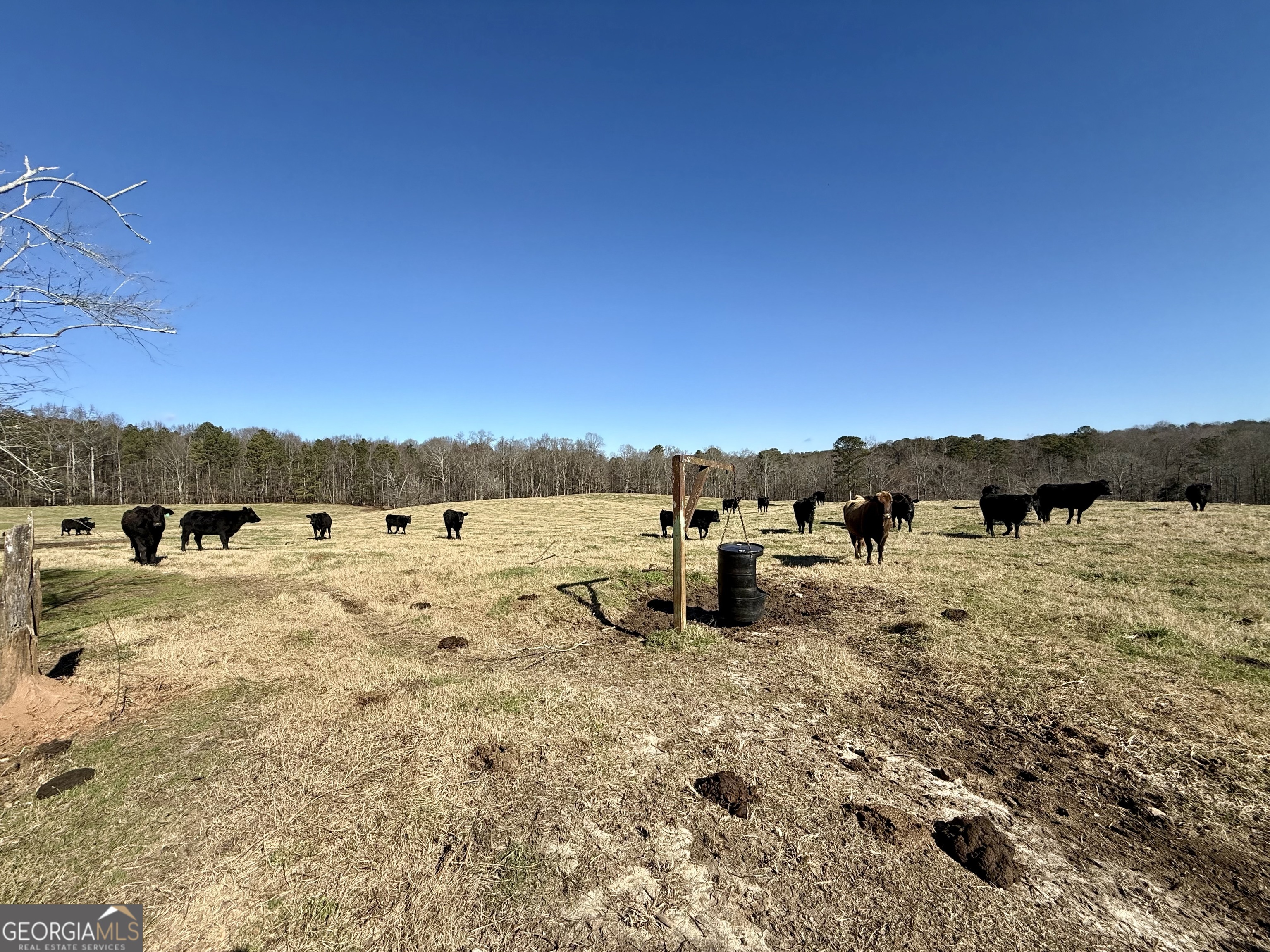 1000 Kansas Jake Road Waco, GA 30182 - Photo 37 of 45