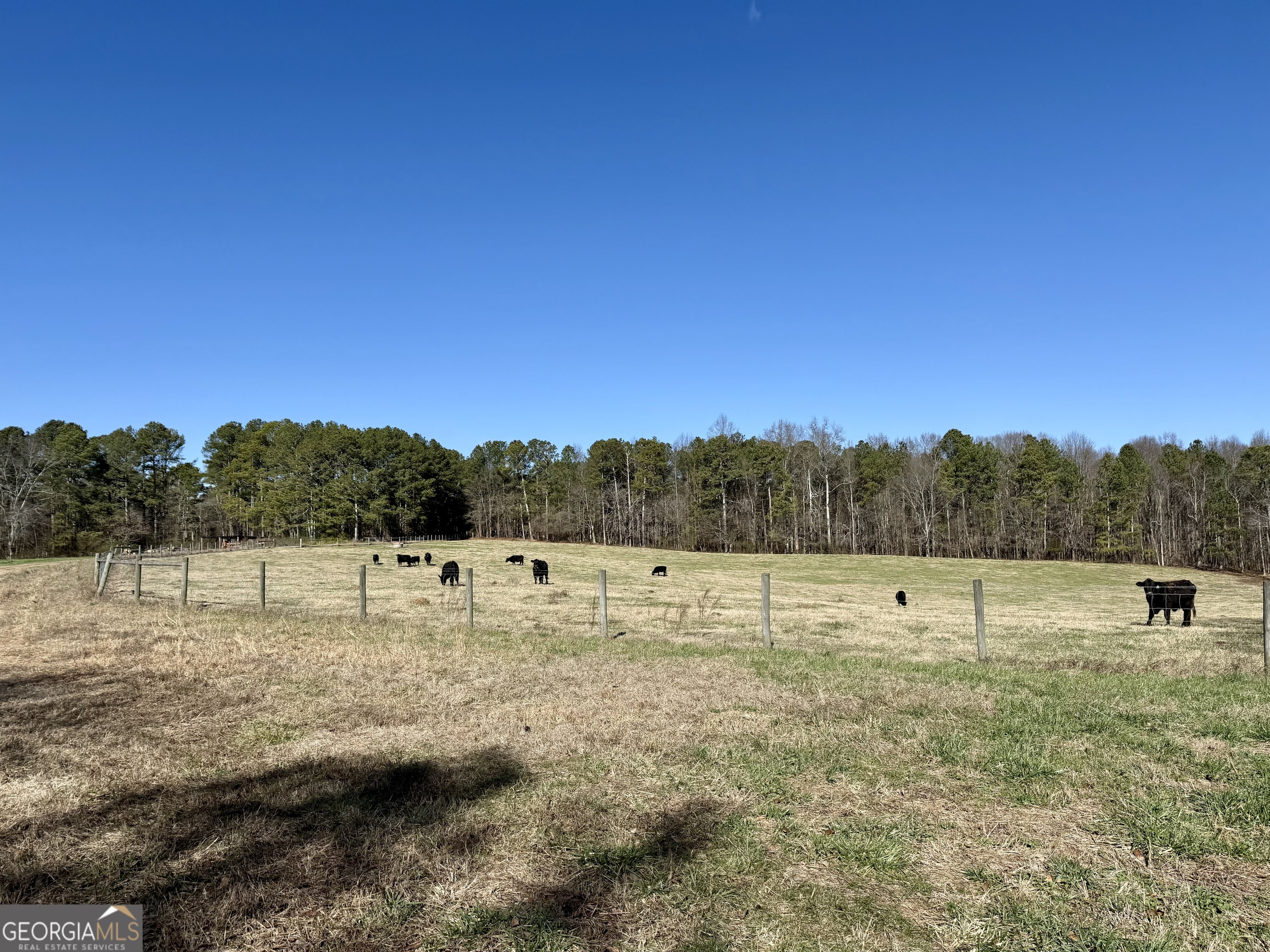 1000 Kansas Jake Road Waco, GA 30182 - Photo 39 of 45
