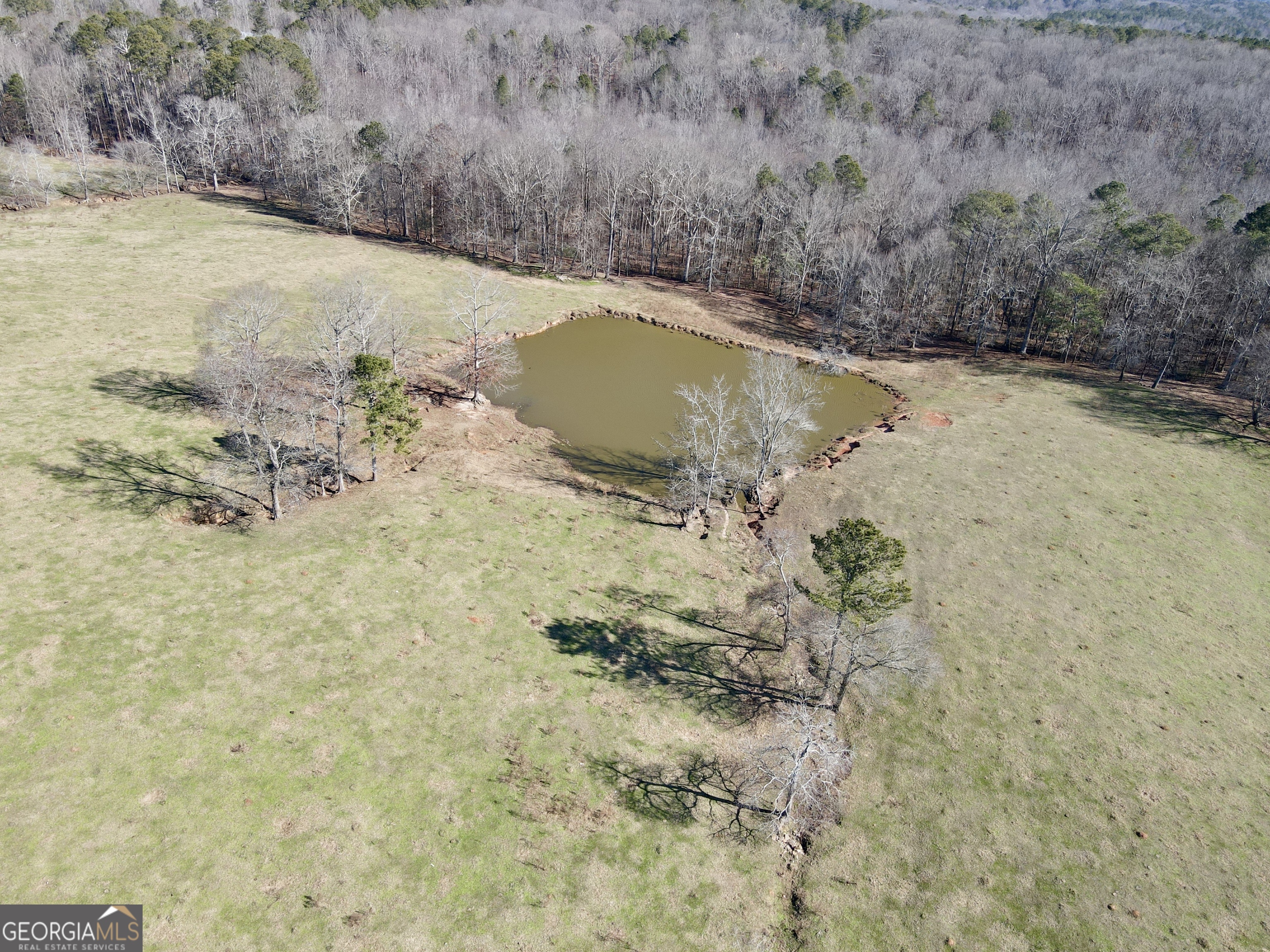 1000 Kansas Jake Road Waco, GA 30182 - Photo 4 of 45