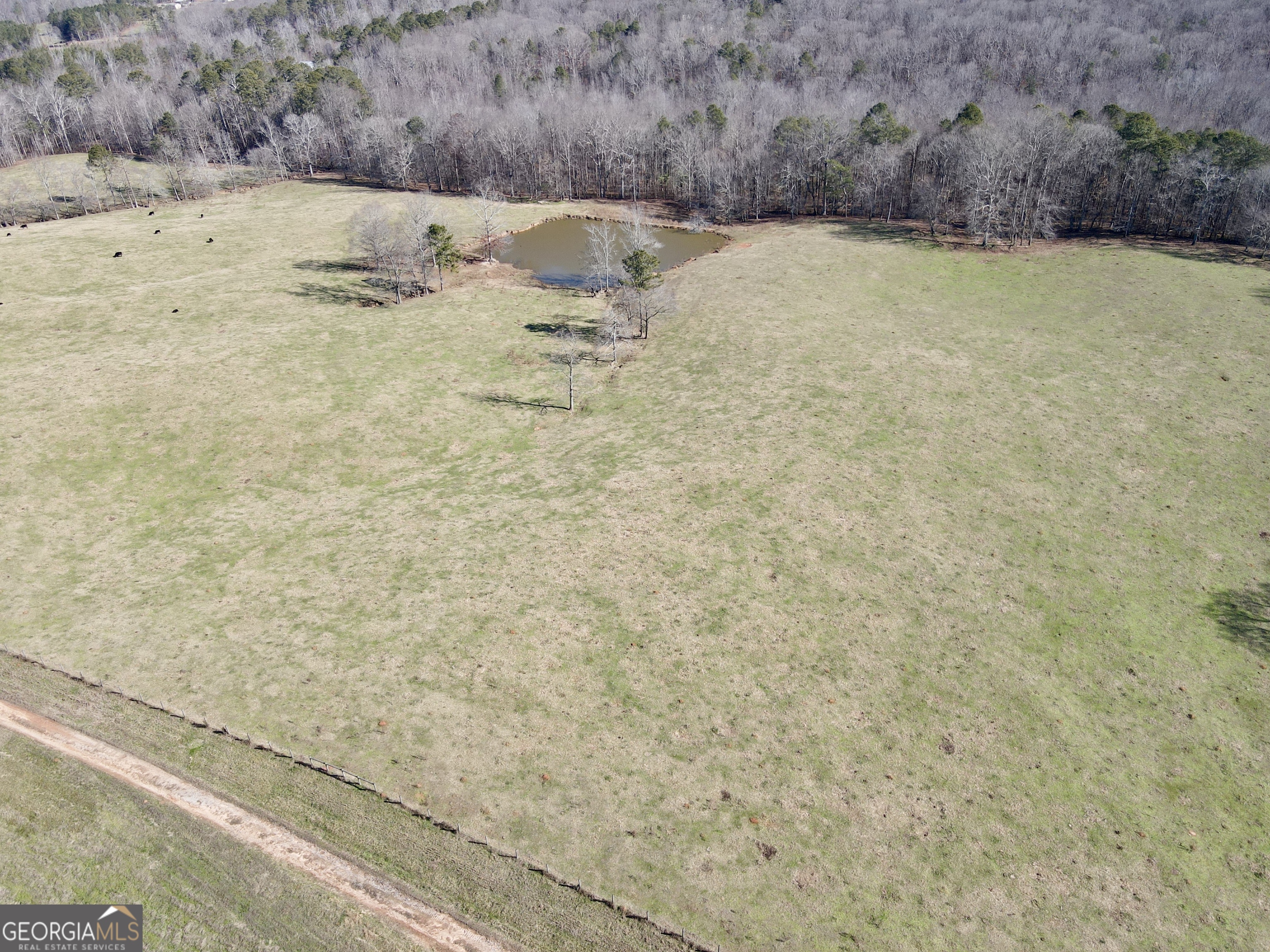 1000 Kansas Jake Road Waco, GA 30182 - Photo 5 of 45