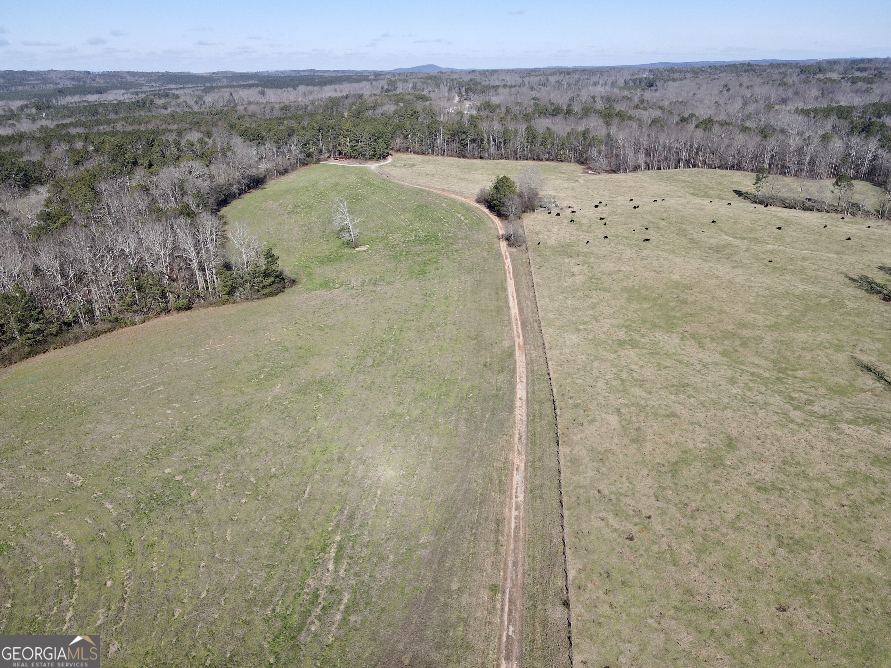 1000 Kansas Jake Road Waco, GA 30182 - Photo 6 of 45