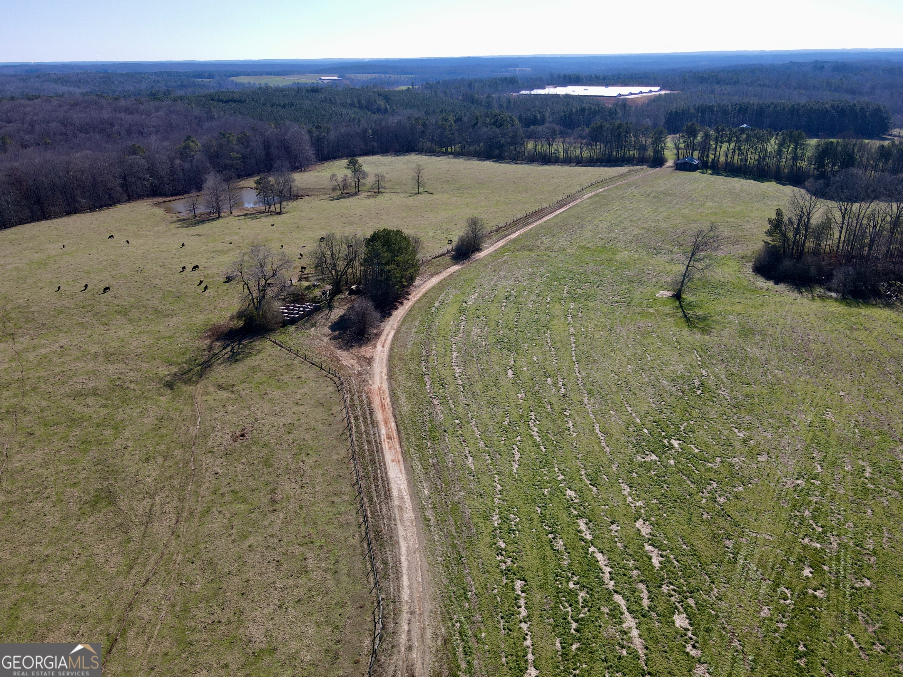 1000 Kansas Jake Road Waco, GA 30182 - Photo 9 of 45
