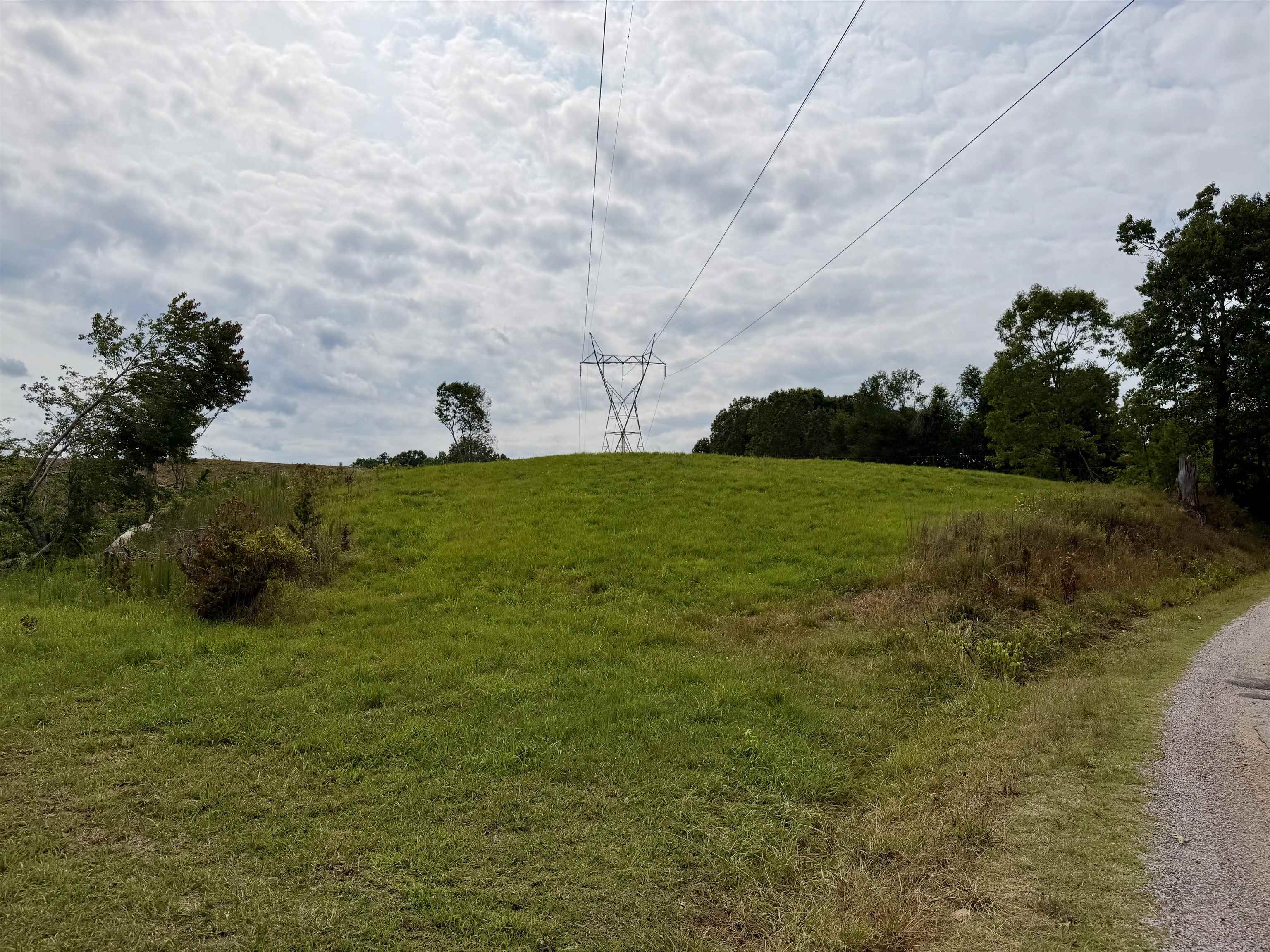 0 Dee Moore Road Selmer, TN 38375 - Photo 2 of 10 a view of a field with an trees in the background