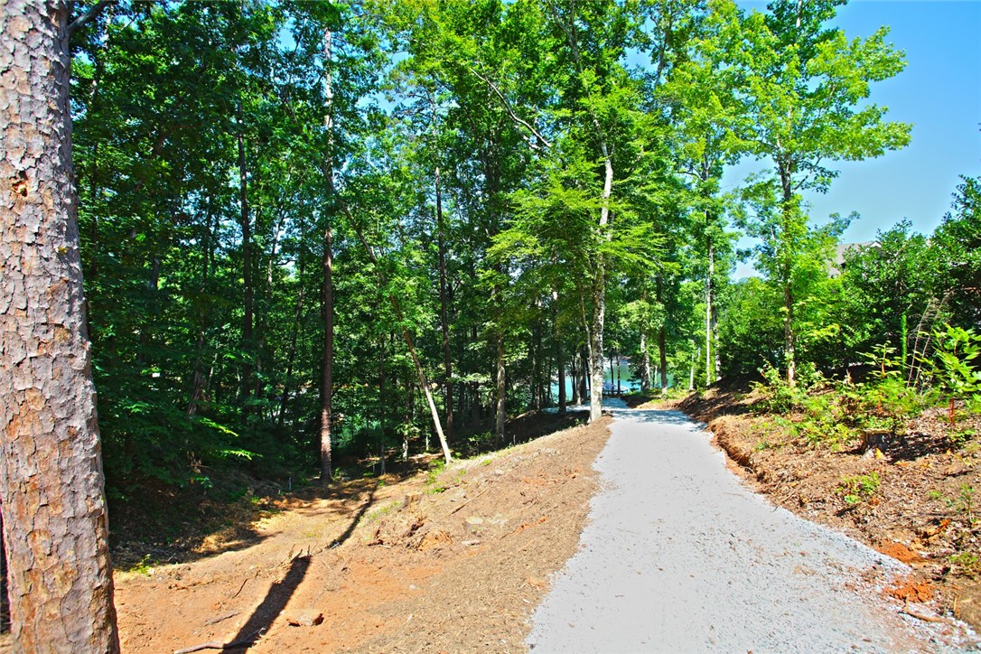1359 Hbr Rdg Road Seneca, SC 29672 - Photo 39 of 39 A private driveway guides you through abundant greenery, leading to serene waterfront views.