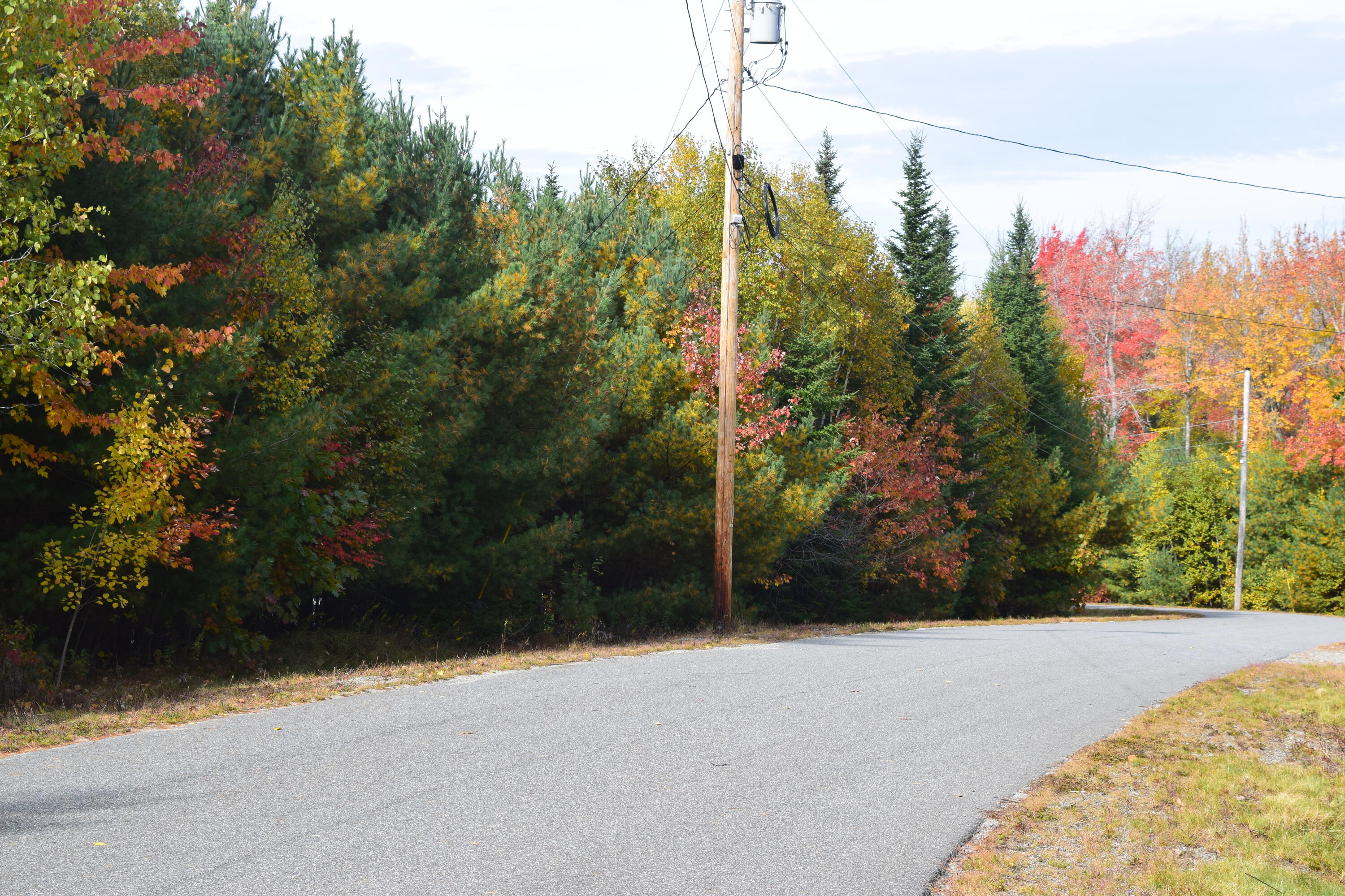 Lot 11 Surry Ridge Surry, ME 04684 - Photo 9 of 14 DSC_0534