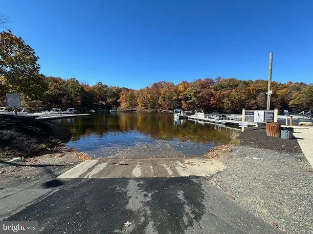 a view of a lake with a tree in the background