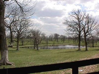 440 Spears Mill Road Paris, KY 40361 - Photo 2 of 8 Photo 2