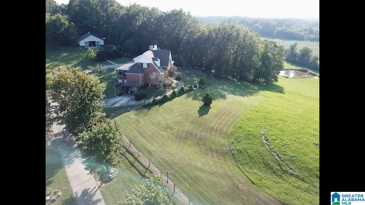 2801 Grist Mill Road Alpine, AL 35014 - Photo 4 of 47