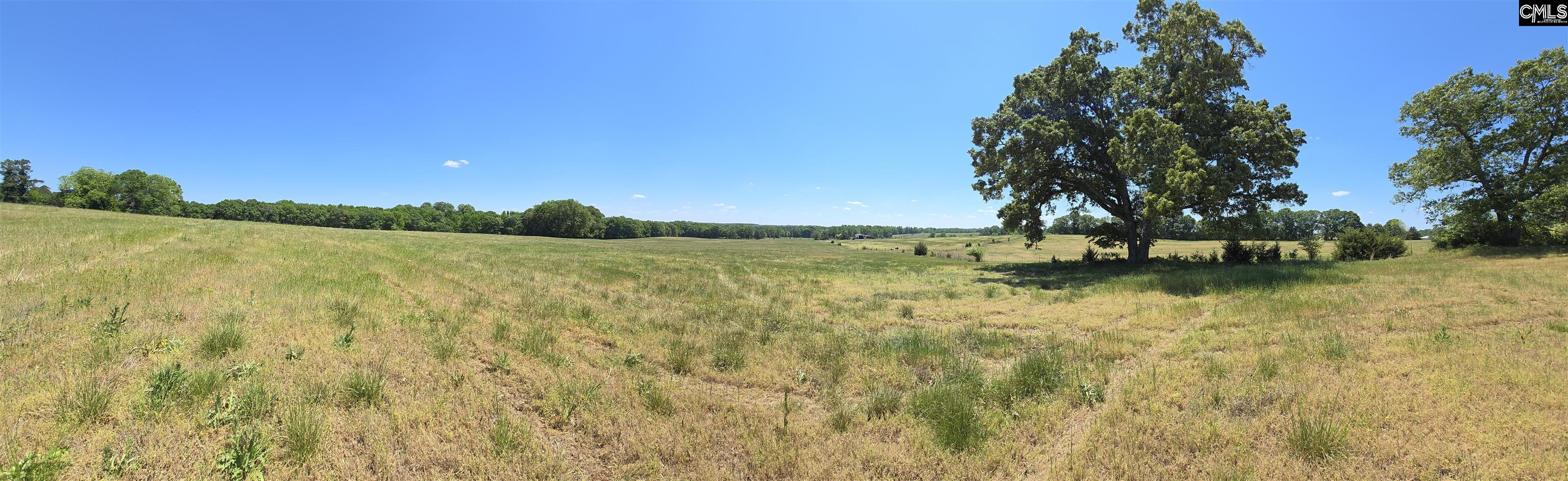 542 Pea Ridge Highway Jonesville, SC 29353 - Photo 31 of 72