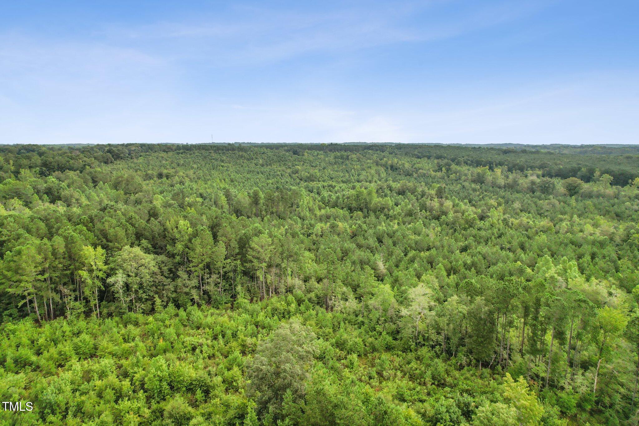 0 Mcleod Broadway, NC 27505 - Photo 8 of 11 a view of a big yard with lots of green space