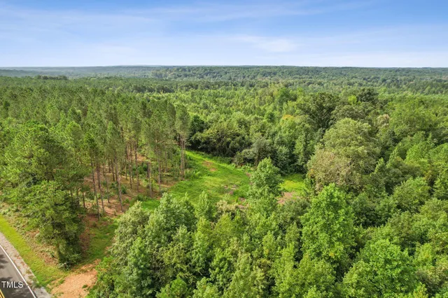 a view of a green field with lots of bushes