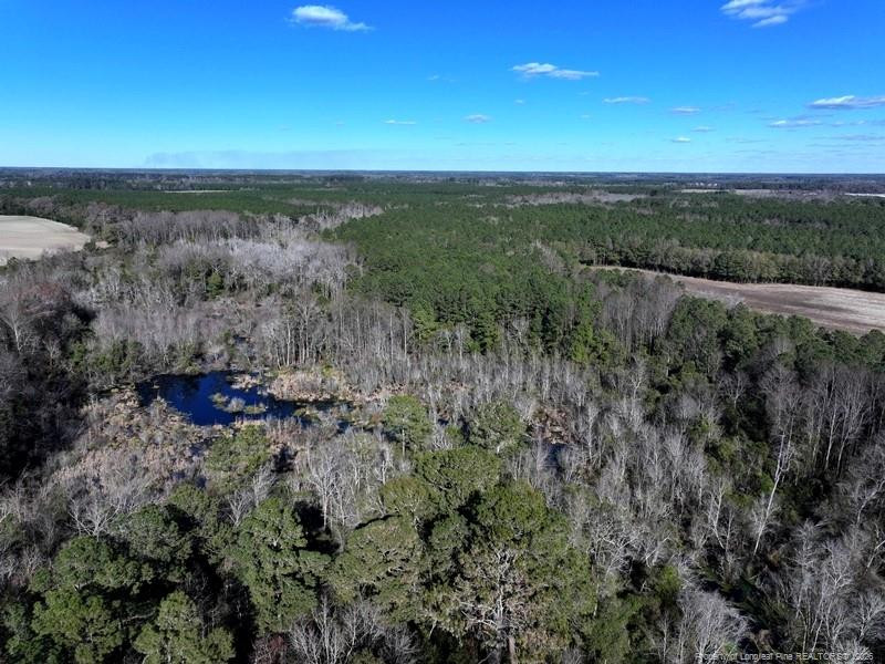 Tbd Tbd Stuarts Mill Road Fairmont, NC 28340 - Photo 3 of 9 a view of a city