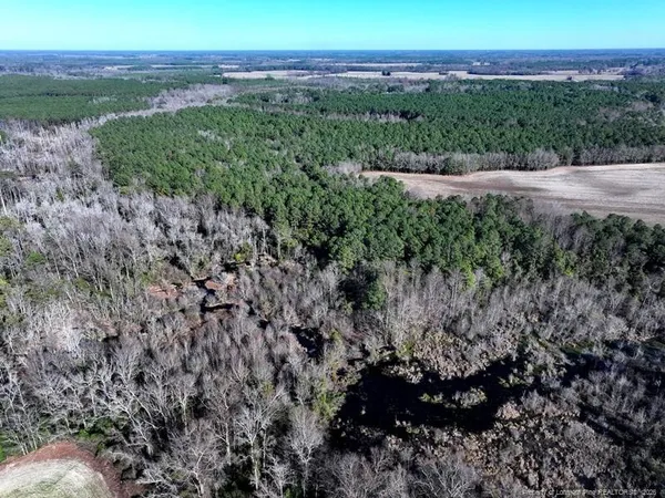 a view of a field with a plant