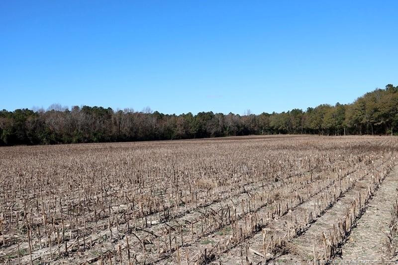 Tbd Tbd Stuarts Mill Road Fairmont, NC 28340 - Photo 8 of 9 a view of lake and mountain